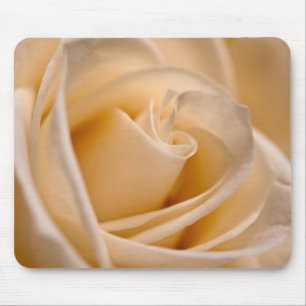 Elegante Elfenbein-Rose Mousepad
