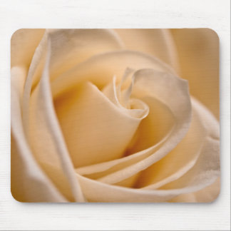 Elegante Elfenbein-Rose Mousepad