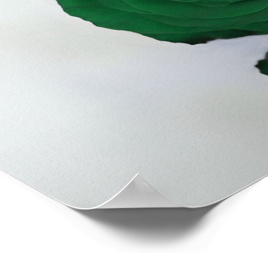 Elegante Emerald Green Rose 20 Table Seating Chart Poster (Ecke)