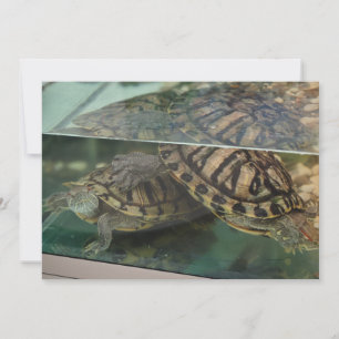 Elegante Erdige Schildkröten Wasser Reflexionskart Einladung