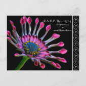 Elegante Exotic Lila Daisy Wedding Einladung (Rückseite)