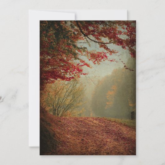 Elegante Fall Bäume Rustikale String Lights Hochze Einladung (Rückseite)