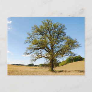 Elegante farbenfrohe Reise-Postkarte mit Baum Feiertagspostkarte