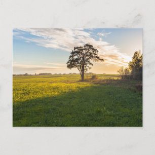 Elegante farbenfrohe Reise-Postkarte mit Baum Feiertagspostkarte