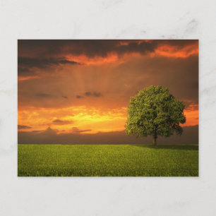 Elegante farbenfrohe Reise-Postkarte mit Baum Feiertagspostkarte