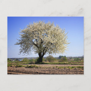 Elegante farbenfrohe Reise-Postkarte mit Baum Feiertagspostkarte