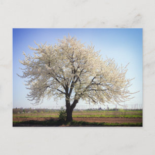 Elegante farbenfrohe Reise-Postkarte mit Baum Feiertagspostkarte