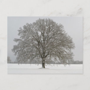 Elegante farbenfrohe Reise-Postkarte mit Baum Feiertagspostkarte