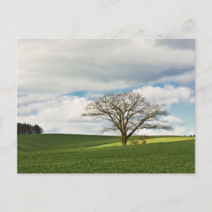 Elegante farbenfrohe Reise-Postkarte mit Baum Feiertagspostkarte
