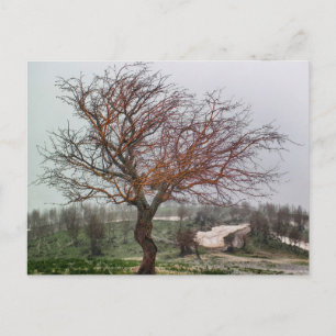 Elegante farbenfrohe Reise-Postkarte mit Baum Feiertagspostkarte
