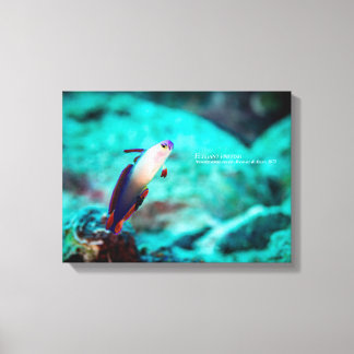 Elegante Feuerfisch Leinwanddruck