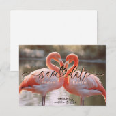 Elegante Flamingo-Liebe Save the Date Vorlage (Vorne/Hinten)