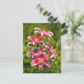 Elegante florale Medley von Stargazer Oriental Lil Postkarte (Stehend Vorderseite)