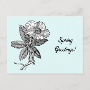 Elegante Frühlingserie Blume Botanik Postkarte