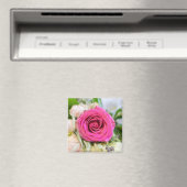 Elegante Fuchsia Pink Garden Rose Blume Magnet (In Situ (Geschirrspüler))