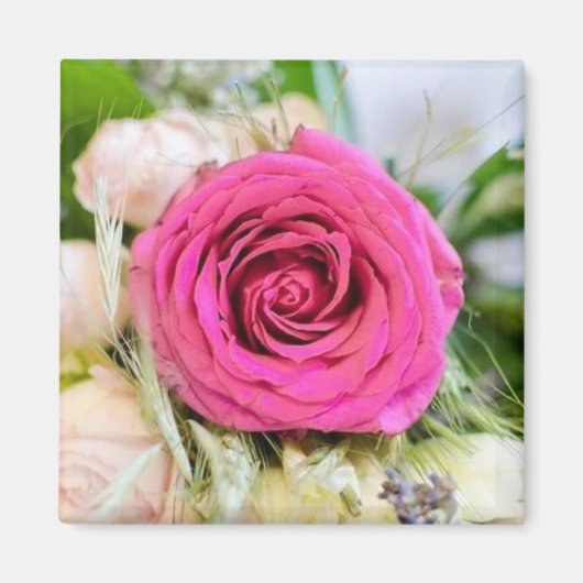 Elegante Fuchsia Pink Garden Rose Blume Magnet (Vorne)