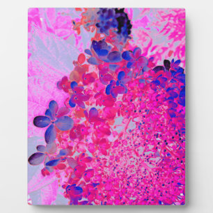 Elegante Fuchsia und dunkelblaue Limelight Hydrang Fotoplatte