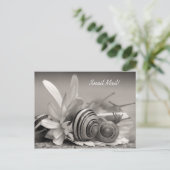 Elegante Garden Snails auf der Blume Gerber Daisy Postkarte (Stehend Vorderseite)