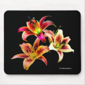 Elegante, gelb-rosa Taglilien Blume Mousepad (Vorne)