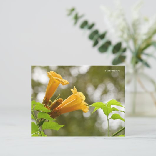 Elegante Gelbe Trumpet Blume Bokeh Postkarte (Stehend Vorderseite)