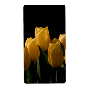 Elegante gelbe Tulpen
