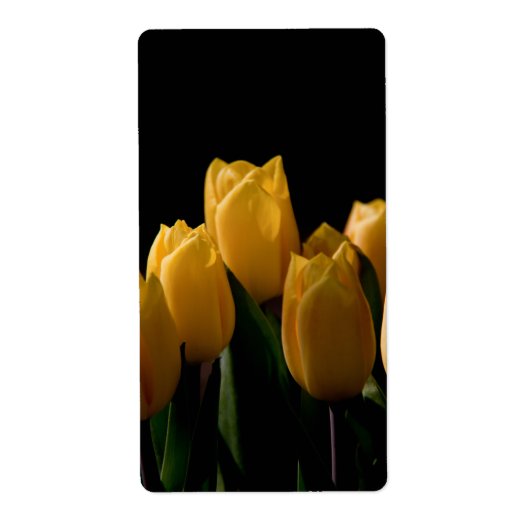 Elegante gelbe Tulpen (Vorne)