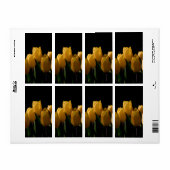 Elegante gelbe Tulpen (Vorne)