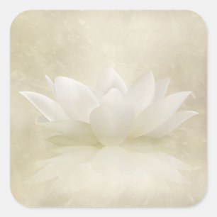 Elegante Gentle White Lotus / Lily Blume Quadratischer Aufkleber