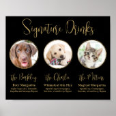 Elegante Gold 3 Foto Begleitheitssignatur Drinks Poster (Vorne)
