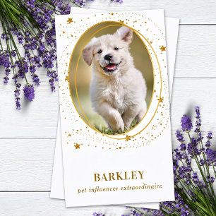 Elegante Gold Stars Custom Foto QR Social Media Visitenkarte