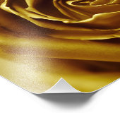 Elegante Goldene Rose Fotodruck (Ecke)
