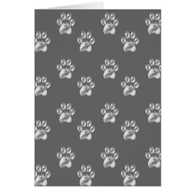 Elegante graue Pfoten auf weißem Boden innen (Vorne)