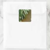 Elegante grüne botanische Blätter Frischfrische Kr Quadratischer Aufkleber (Tasche)