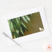 Elegante grüne botanische Blätter Frischfrische Kr Rechteckiger Aufkleber (Umschlag)