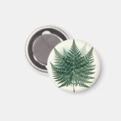 Elegante grüne Farnwedel Botanisch Magnet (Vorderseite/Rückseite)