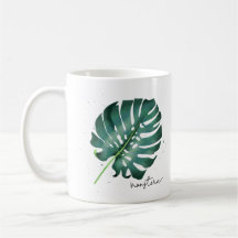 Elegante Grüne Monstera Pflanze