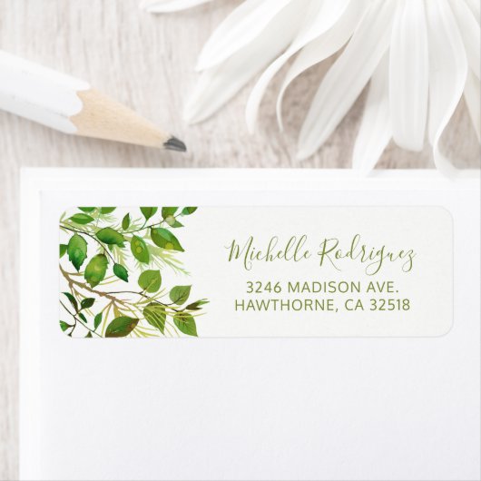 Elegante Grünpflanzen Botanischer Garten Foliage (Insitu)