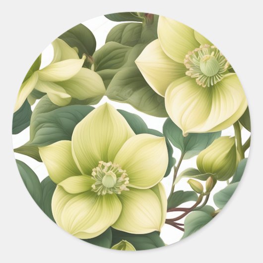 Elegante Hellebore-Blume Runder Aufkleber (Vorderseite)