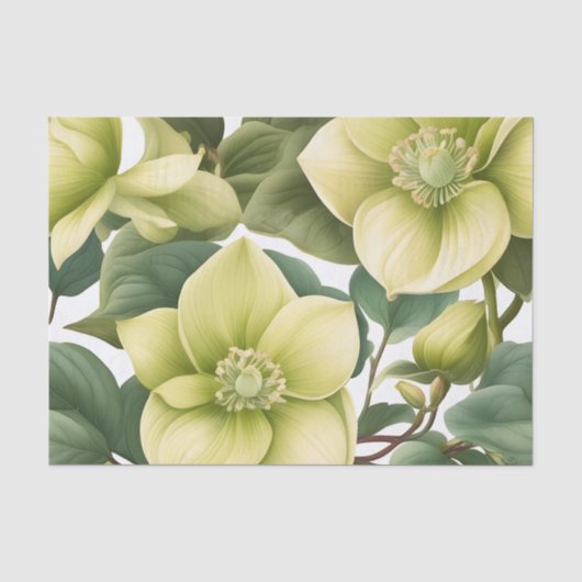 Elegante Hellebore-Blume Seidenpapier (Vorderseite)