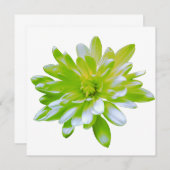 Elegante hellgrüne Blume mit Blumen Einladung (Vorne/Hinten)