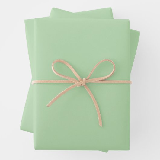 Elegante, hellgrüne Farbe Geschenkpapier Set (Beispiel)