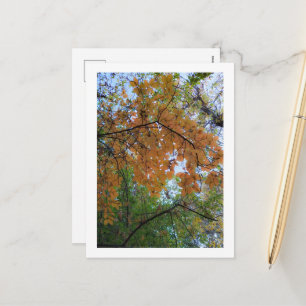 Elegante Herbst-Grußkarte Feiertagspostkarte