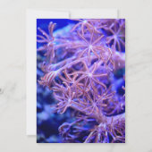 Elegante Hochzeit der Korallenriffe an der Seeküst Save The Date (Rückseite)