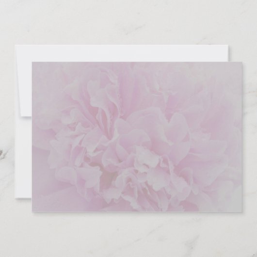 Elegante Hochzeit mit rosafarbenem Pink Einladung (Rückseite)