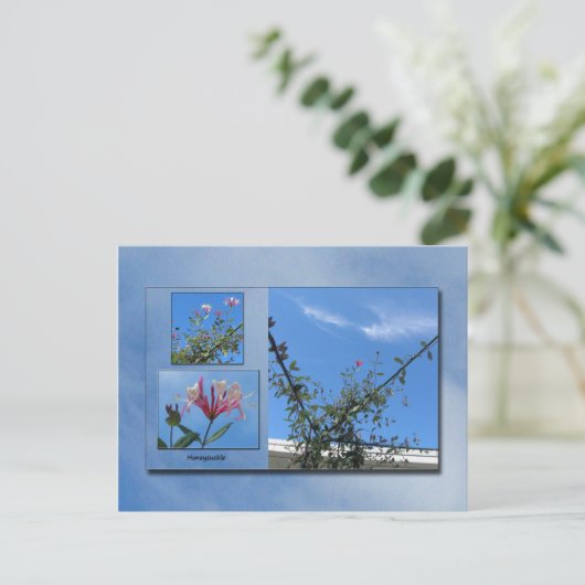Elegante Honeysuckle Postcard Postkarte (Stehend Vorderseite)