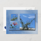 Elegante Honeysuckle Postcard Postkarte (Vorne/Hinten)