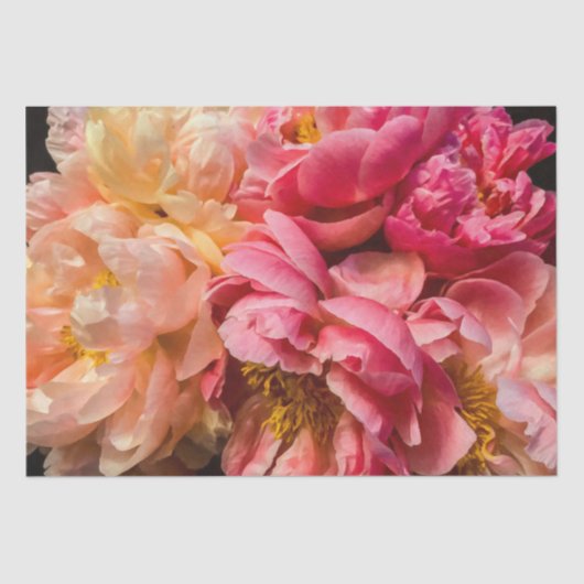 Elegante Hot Pink & Peach Peonies Seidenpapier (Vorderseite)