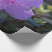 elegante, hübsche Frühling lila azalea Blume. Geschenkpapier (Ecke)