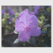 elegante, hübsche Frühling lila azalea Blume. Geschenkpapier (Flach)