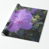 elegante, hübsche Frühling lila azalea Blume. Geschenkpapier (Ungerollt)